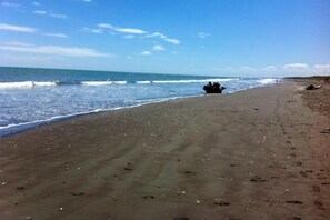 Otaki beach 5 minutes walk