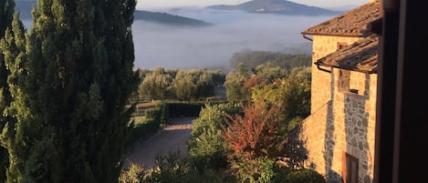 Vista dalla struttura