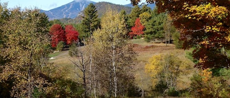 Whiteface from the picture windows, deck & backyard. You can see the slopes!