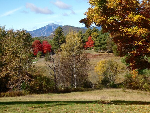 Whiteface from the picture windows, deck & backyard. You can see the slopes!