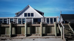 sea wall at low tide
