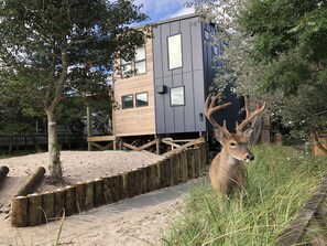 Furry friends right outside our door.