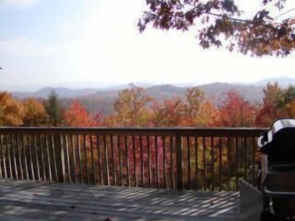Fall 🍁🍂