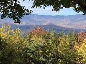 Fall view 