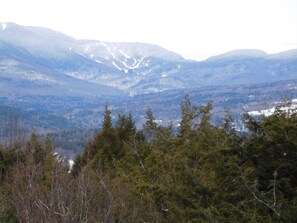 View of Mad River Glenn from deck  