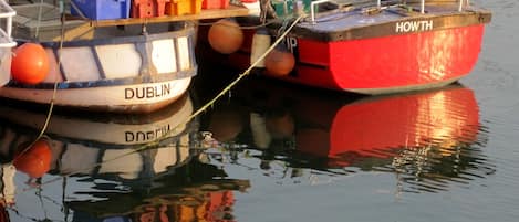 Howth, fishing & Sailing village 25 minutes from the city center - Beautiful    