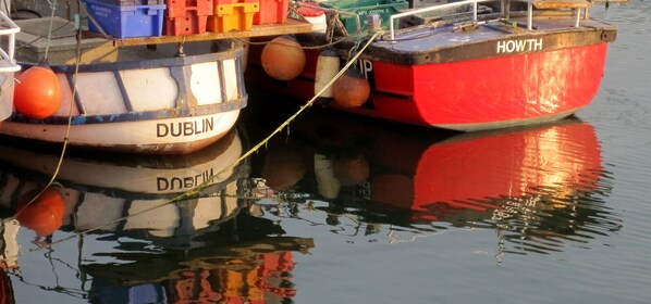 Howth, fishing & Sailing village 25 minutes from the city center - Beautiful    
