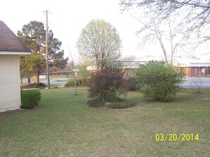 Back Yard of House