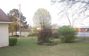 Back Yard of House
