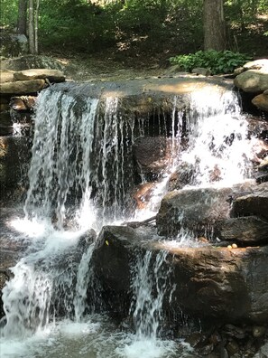 Waterfall on Property