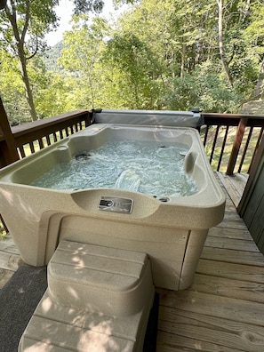4 Person Hot Tub - New 2024