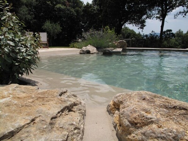 Exclusively designed Pool 