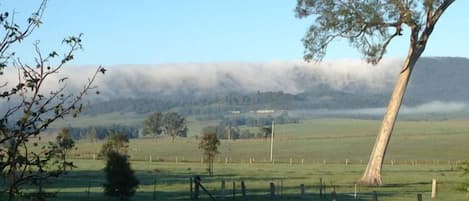 Clouds spilling over the Watagan Mountains. (Sadly this tree has since fallen)