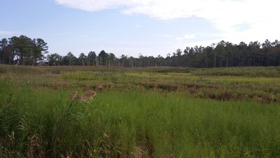 Bethany Bay Family Condo, Quiet and Relaxing, Wetland Views, Four Bedrooms