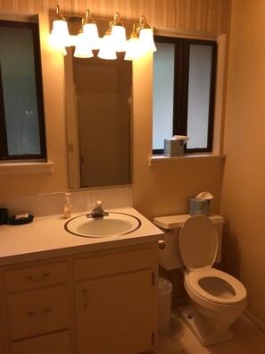 Private Bathroom with toilet and shower