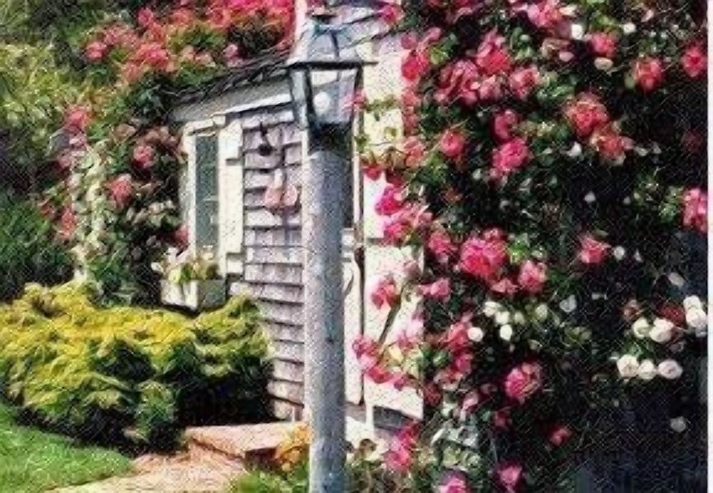 Luxury Rose Covered Cottage Siasconset