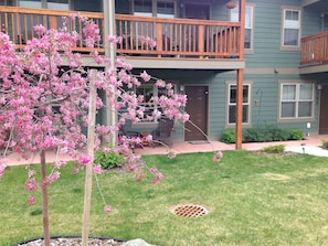 Front porch of apartment 