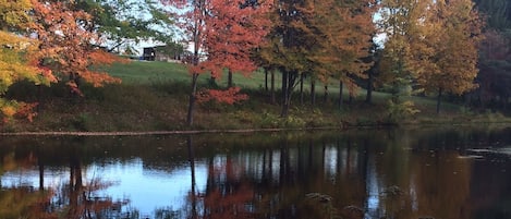 pond in autumn