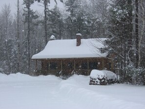 Winter wonderland
