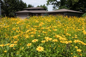 Look for the wild flowers and you've arrived!