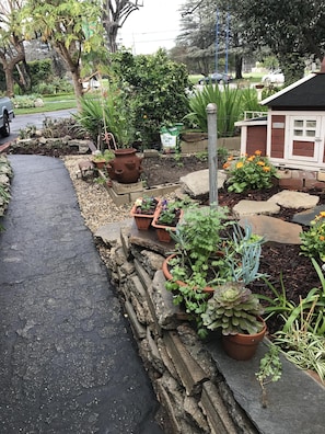 Walkway from Guest quarters, chickens on the right