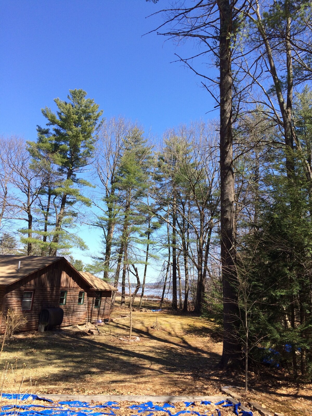 Lakehouse with Game Room, Fire Pit, Beach+Pool access. Sleeps 8. Pet-Friendly!