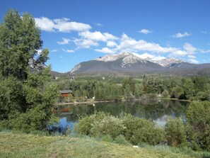 Summer View from the Deck