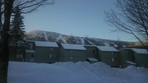 View from Back Deck