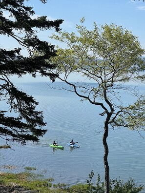 View of kayakers passing by taken from the deck