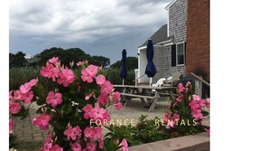 There's always a bright spot no matter what the day-colorful plants around patio