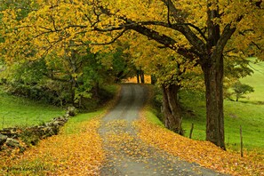 Our country road to the house. 