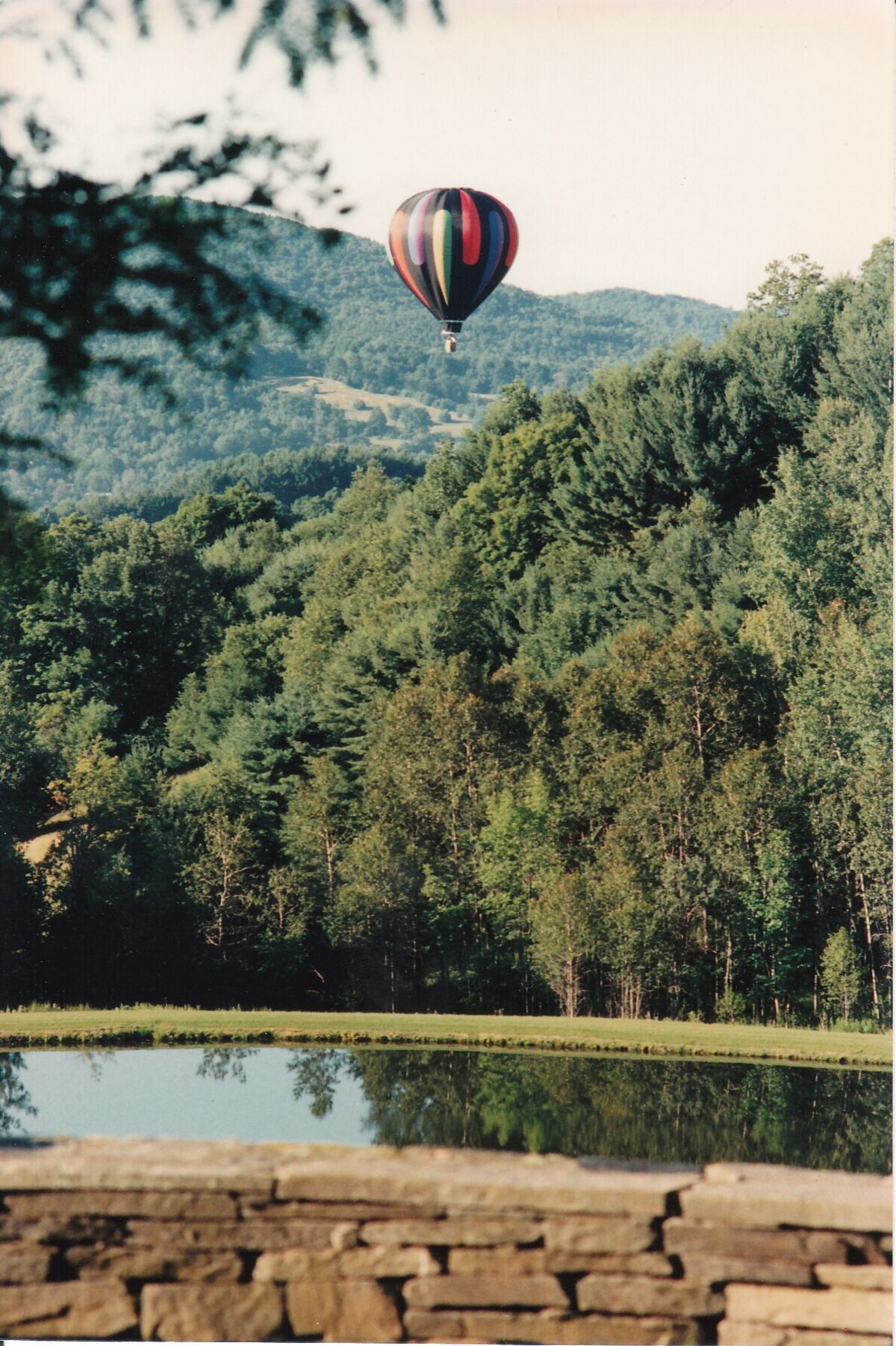 Main Image