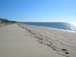 Beach across the street
