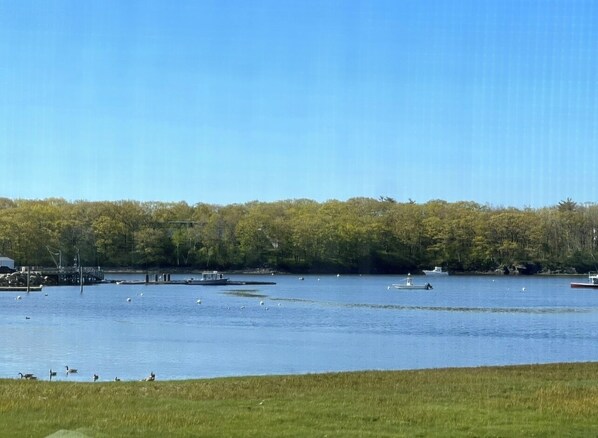 WATER VIEWS FROM HOME AND YARD