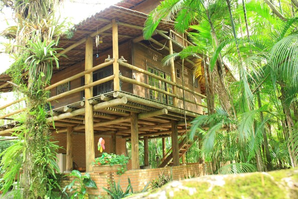 Casa em dia de sol, ladeado pelas palmeiras juçaras 