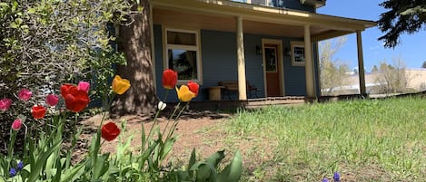 Front perennial garden and porch