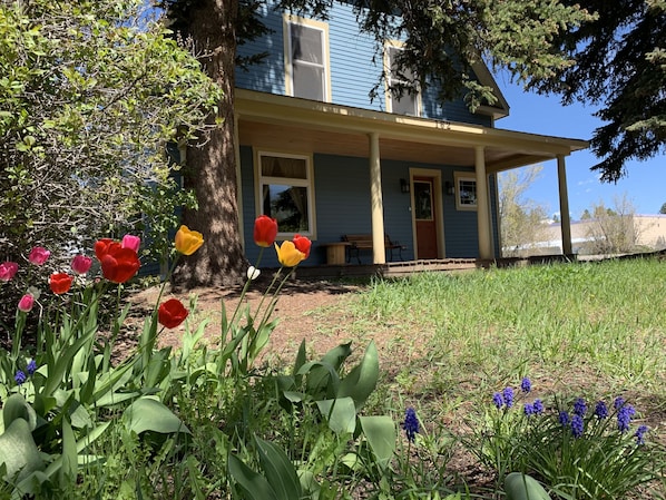 Front perennial garden and porch