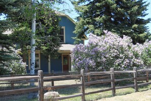 Lilacs in Bloom (mid/late May) and a view from Terrace Ave.