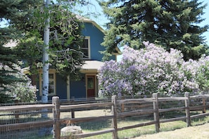 Lilacs in Bloom (mid/late May) and a view from Terrace Ave.