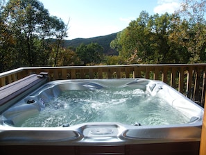 6 person hot tub with LED lights and Ipod jack built in speakers & Great Views