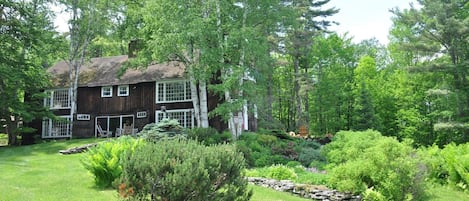 Butternut front view