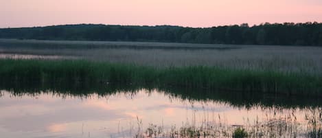 L'Etang de Belval, réserve naturelle, et les vastes forêts aux alentours