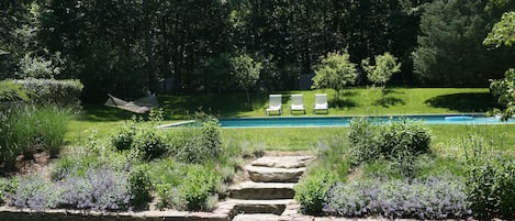 garden of lavender, thyme, herbs and flowers. Apple/ Pear trees back woods.