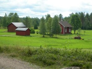 A view from the private road accessing the house. Soo quite!