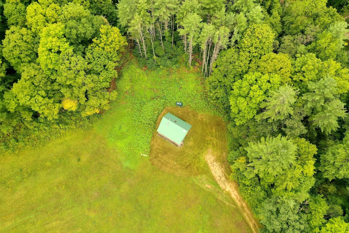 The Last Frontier Cabin