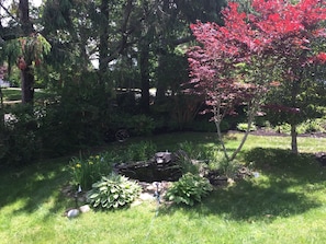 Front side yard 