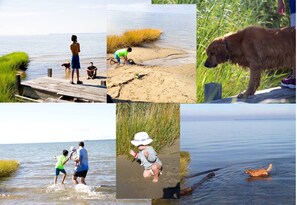 Low tide beach.  A shallow drop off means a wonderful play area for for kids!