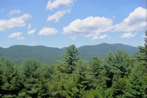 View from house