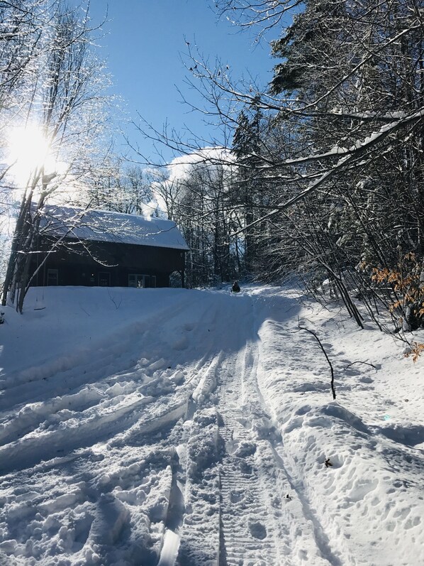 The Cabin in winter