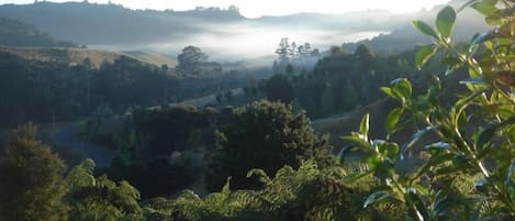 View up the Waiwera Valley